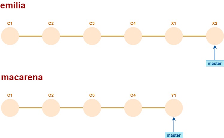 force push - otras desarrolladoras