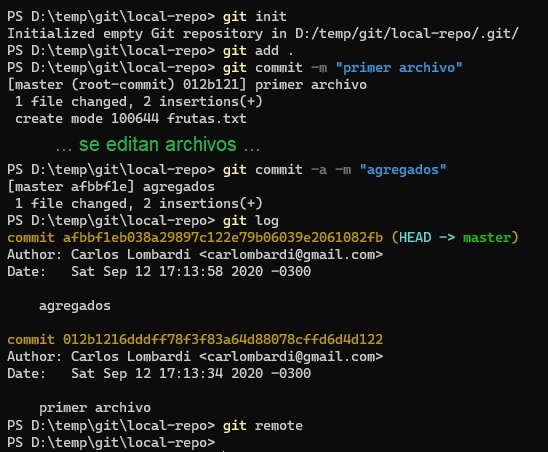 repo local sin remoto